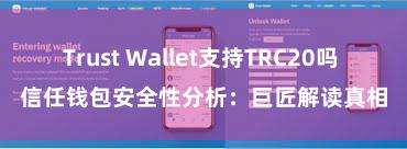 Trust Wallet支持TRC20吗 信任钱包安全性分析：巨匠解读真相