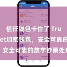 信任钱包卡住了 Trust Wallet加密钱包，安全可靠的数字钞票处理用具