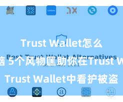 Trust Wallet怎么下载到电脑 5个风物匡助你在Trust Wallet中看护被盗