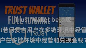 Trust Wallet beta版 Trust Wallet若何复古用户在多链环境中经管和兑换金钱？