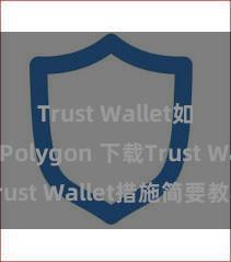 Trust Wallet如何连接Polygon 下载Trust Wallet措施简要教程